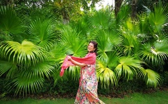 第一章的课上强校花